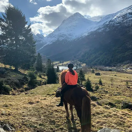 Daire Olden 2 Stryn